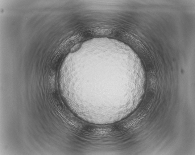 X0000059050745200510281607