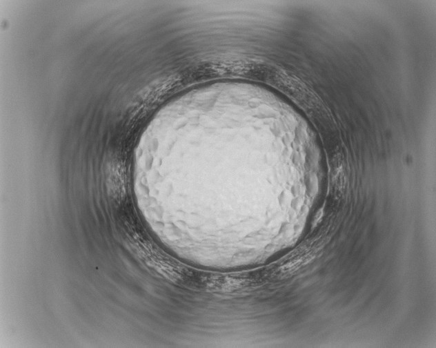 X0000059050772200510281606