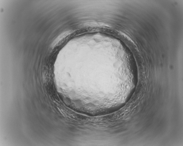 X0000059050775200510281606