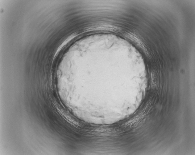 X0000059050780200510281606