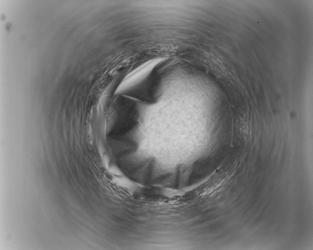 X0000059050818200510281605