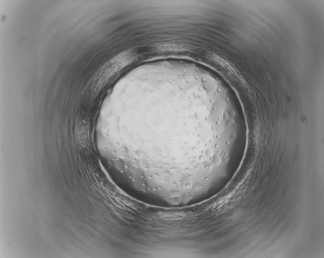 X0000059050825200510281605