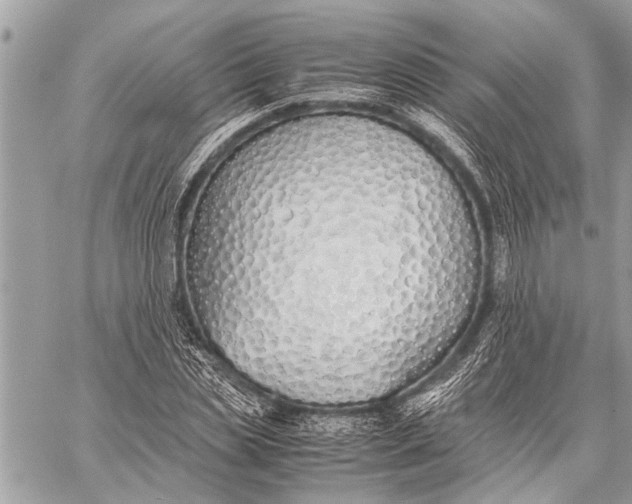X0000059050829200510281605