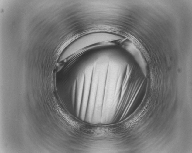 X0000059050842200510281605