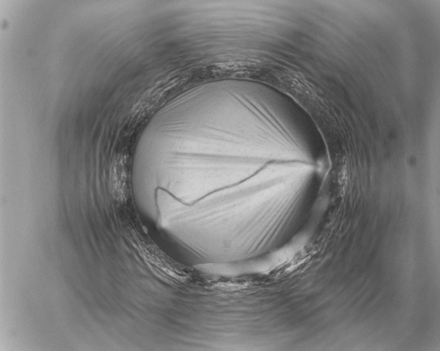 X0000059050868200510281605