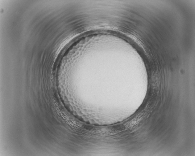 X0000059050879200510281605