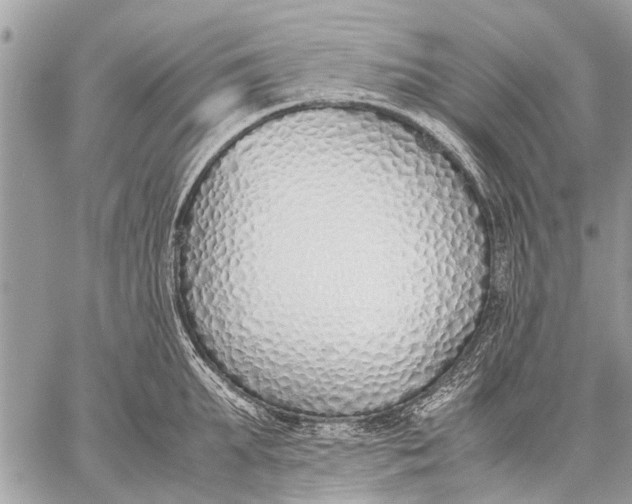 X0000059050903200510281604