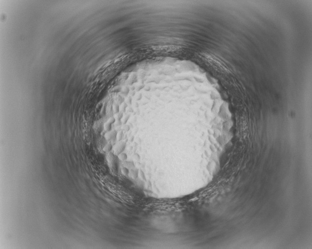 X0000059050917200510281603