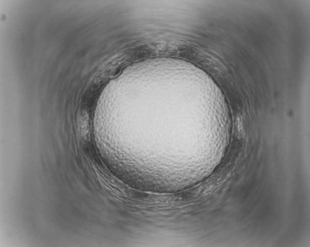 X0000059050963200510281603