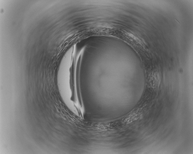 X0000059051013200510281602