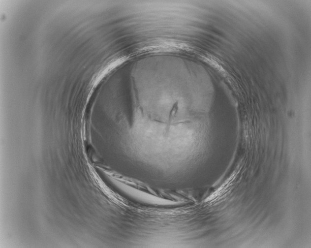 X0000059051034200510281602