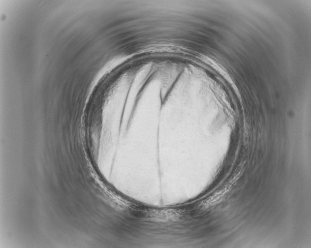X0000059051045200510281602
