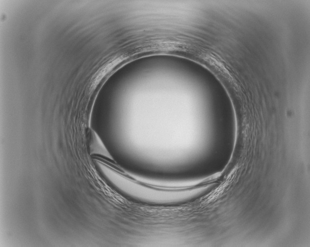 X0000059051081200510281601