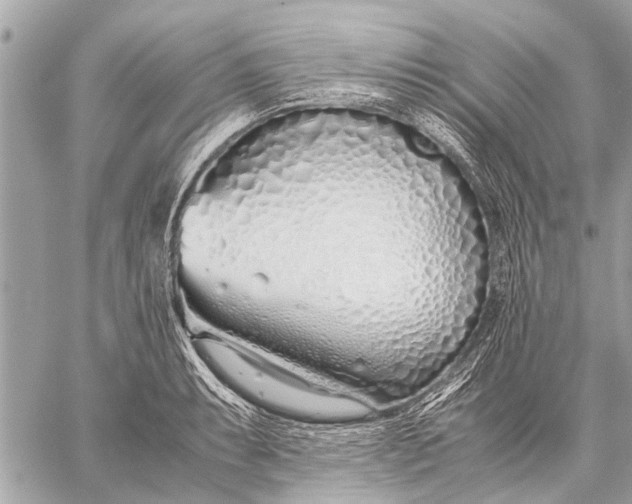 X0000059051087200510281601