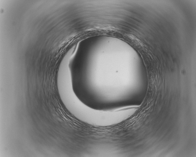 X0000059051110200510281600