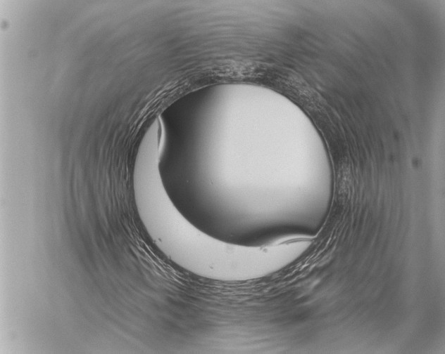 X0000059051202200510281558