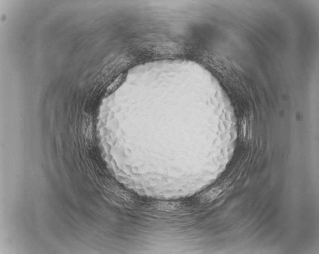 X0000059051251200510281558
