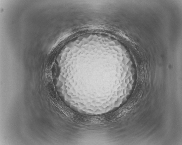 X0000059051255200510281558