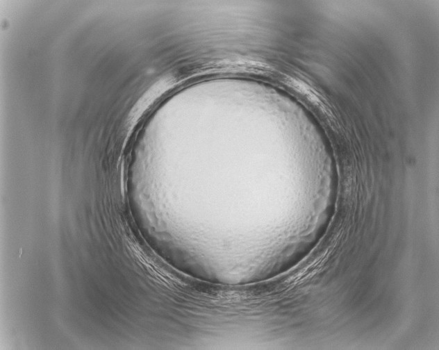 X0000059051275200510281558