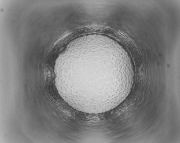 X0000059051302200510281557