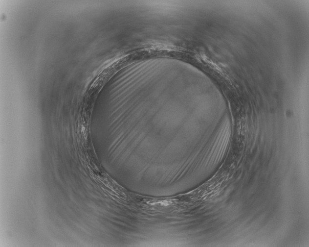 X0000059051303200510281557