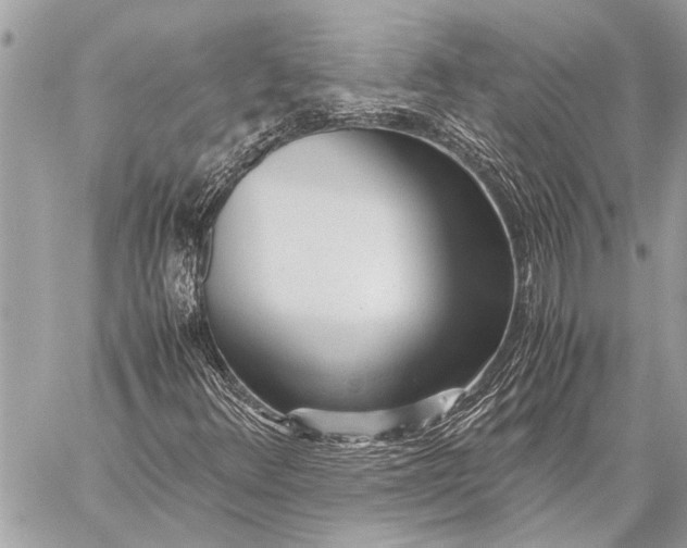 X0000059051348200510281557