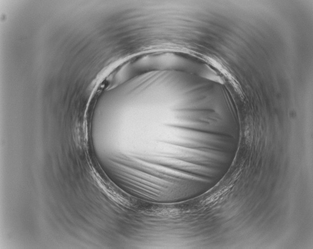 X0000059051372200510281556
