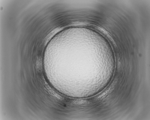 X0000059051417200510281556