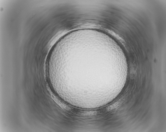 X0000059051423200510281556