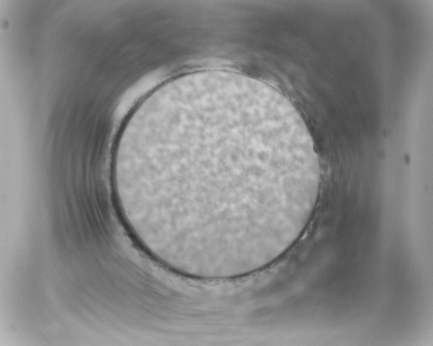 X0000059050006200511041714