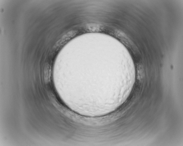 X0000059050030200511041714