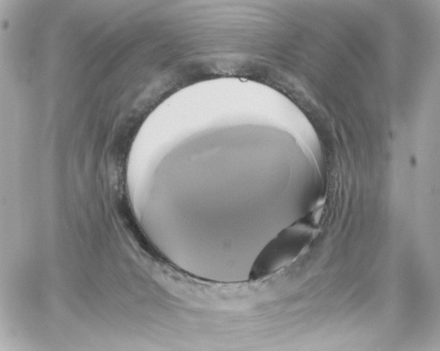 X0000059050031200511041714