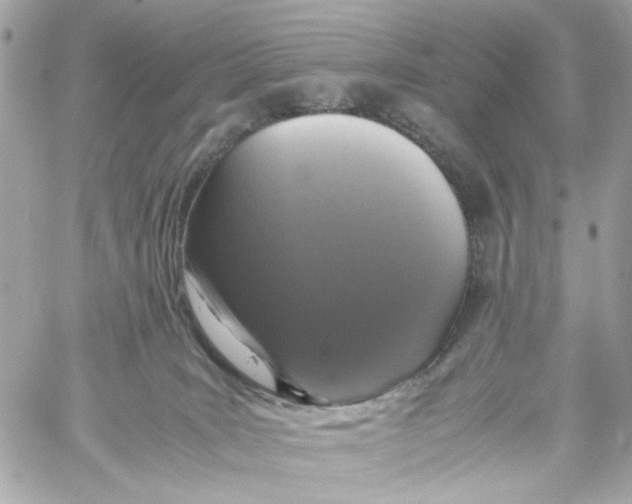 X0000059050035200511041714
