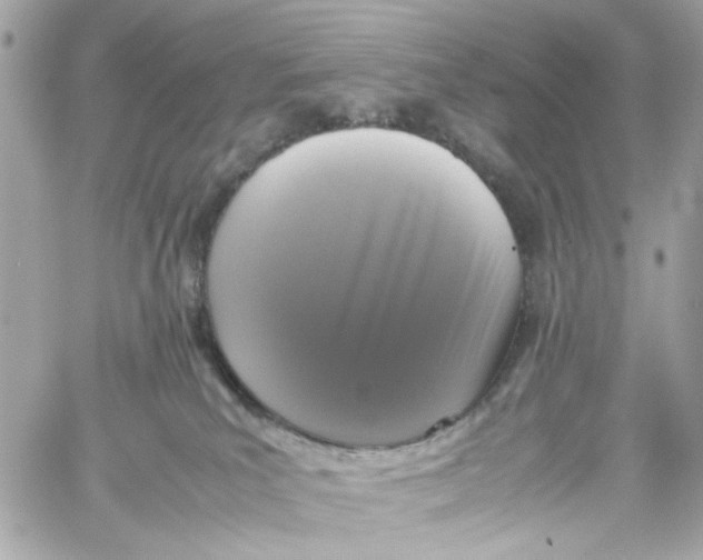 X0000059050039200511041714