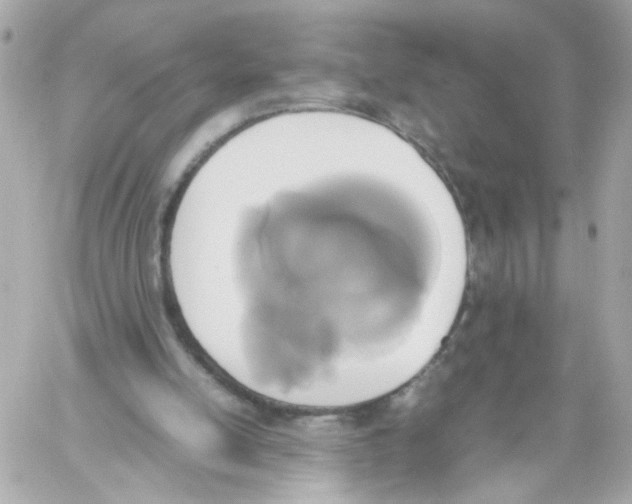X0000059050054200511041713