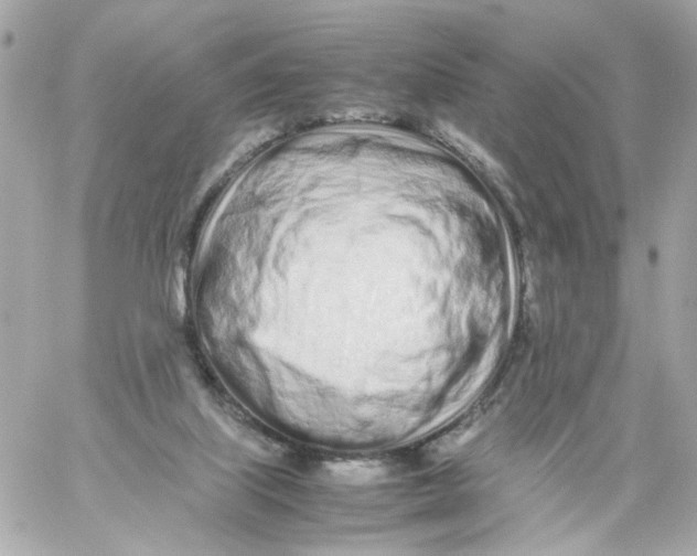 X0000059050067200511041713