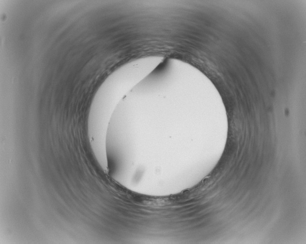 X0000059050079200511041713