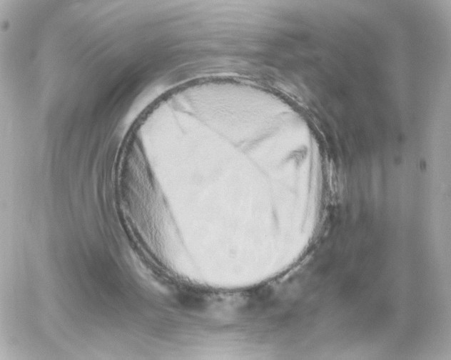 X0000059050099200511041713