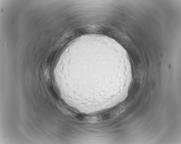 X0000059050131200511041712