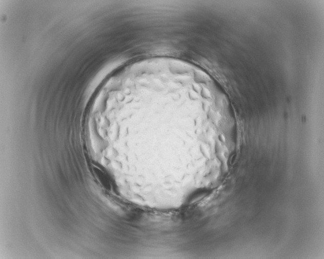 X0000059050147200511041711