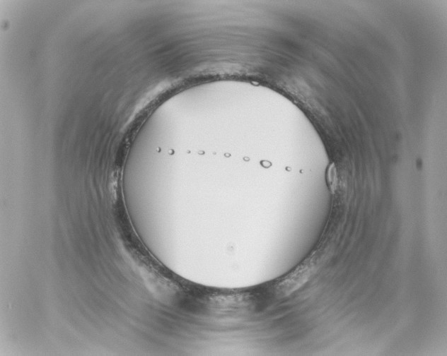 X0000059050160200511041711