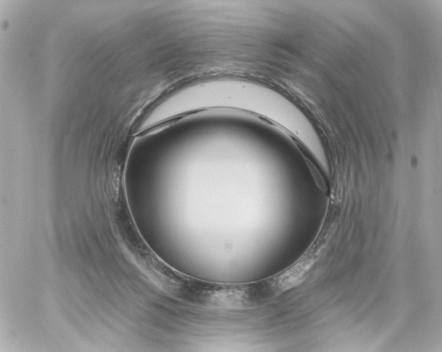 X0000059050168200511041712