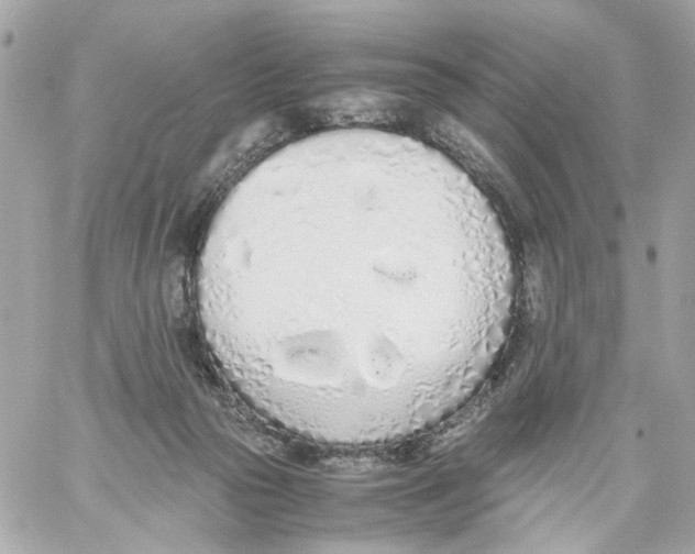 X0000059050169200511041712