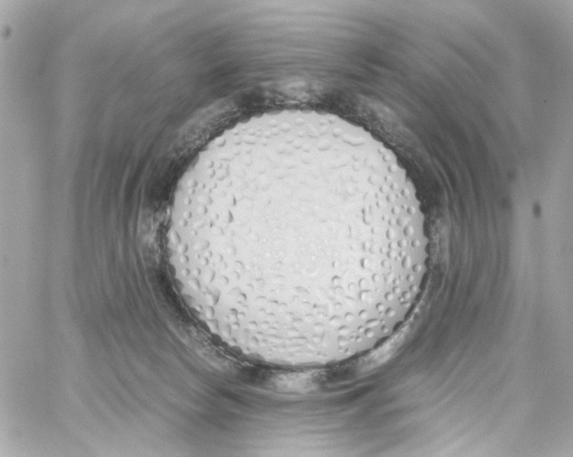 X0000059050178200511041712