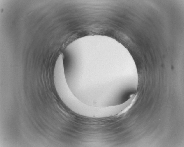 X0000059050186200511041712