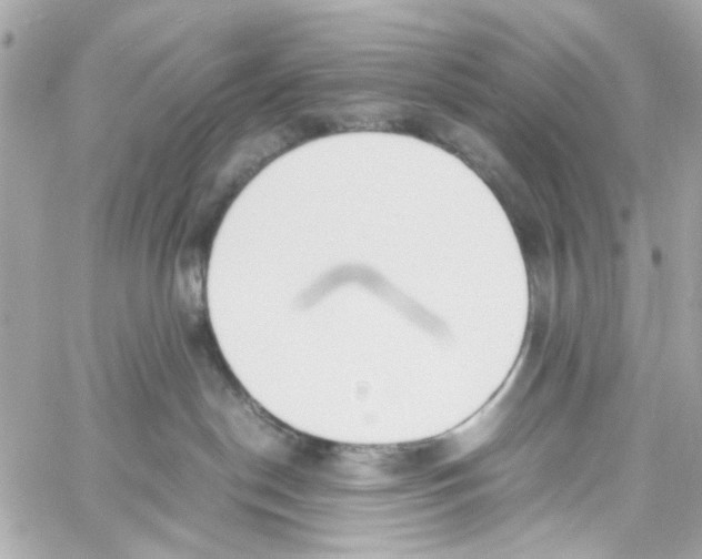 X0000059050190200511041712