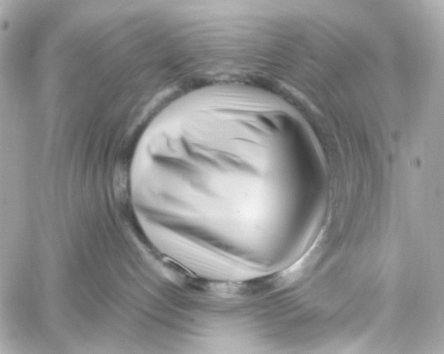X0000059050192200511041712