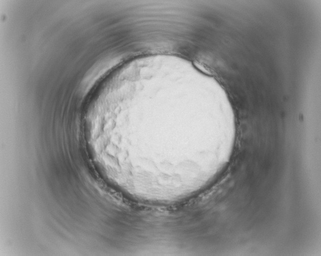 X0000059050194200511041711