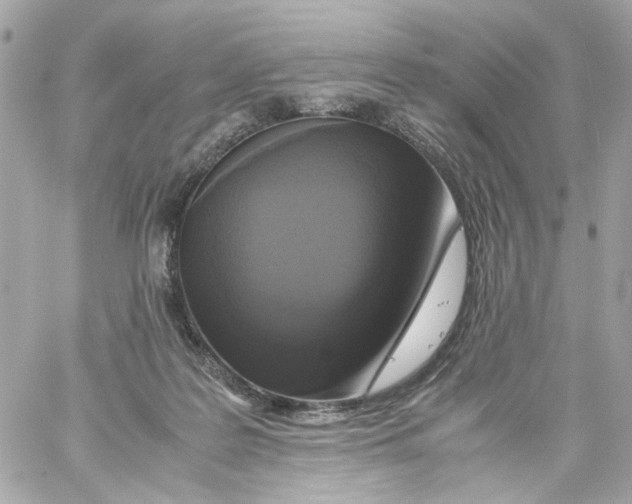 X0000059050219200511041711