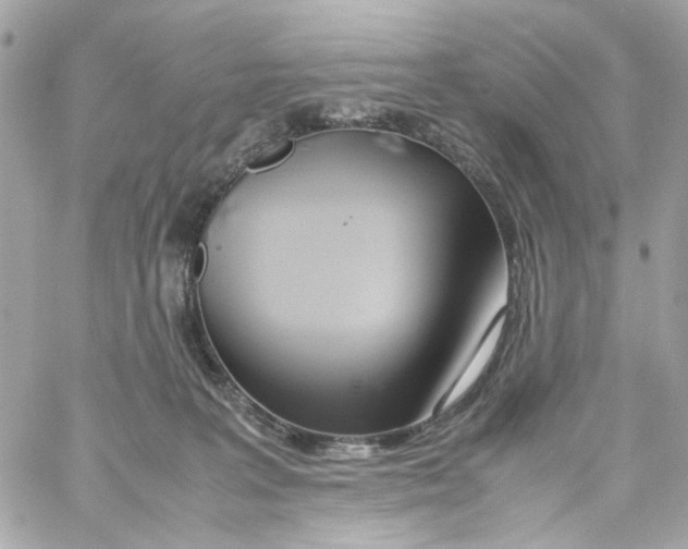 X0000059050227200511041711